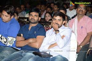 Bunny n Cherry Audio Release