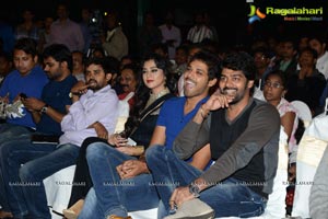 Bunny n Cherry Audio Release