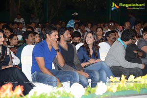 Bunny n Cherry Audio Release