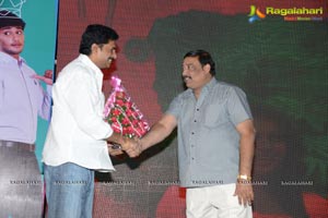 Bunny n Cherry Audio Release