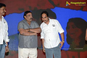 Bunny n Cherry Audio Release