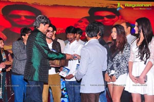 Dil Deewana Audio Release