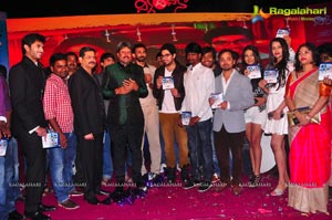 Dil Deewana Audio Release