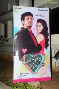 Hrudayam Ekkadunnadi Audio Release