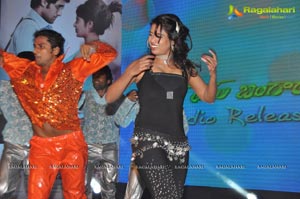 Love You Bangaram Audio Release