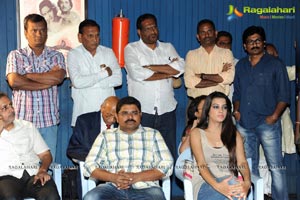 Madhumathi Audio Release