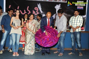 Madhumathi Audio Release