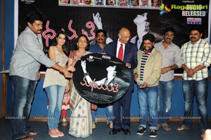 Madhumathi Audio Release