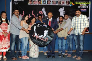 Madhumathi Audio Release