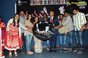 Madhumathi Audio Release