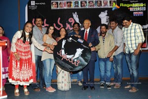 Madhumathi Audio Release