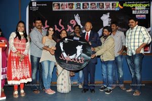 Madhumathi Audio Release