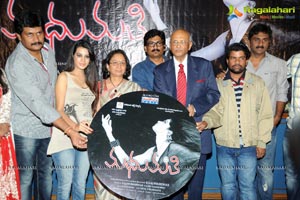 Madhumathi Audio Release