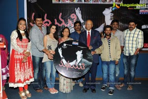 Madhumathi Audio Release