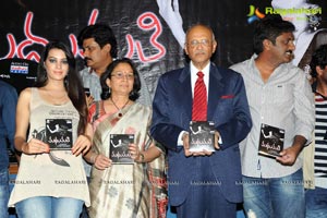 Madhumathi Audio Release