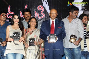 Madhumathi Audio Release