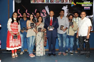 Madhumathi Audio Release