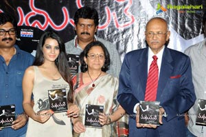 Madhumathi Audio Release