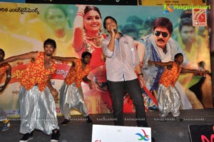 Malligadu Marriage Bureau Audio Release