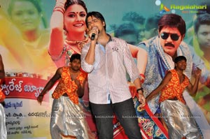 Malligadu Marriage Bureau Audio Release