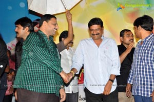 Malligadu Marriage Bureau Audio Release