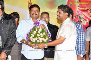 Malligadu Marriage Bureau Audio Release