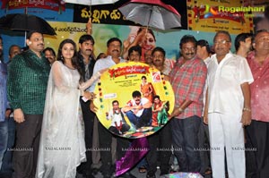 Malligadu Marriage Bureau Audio Release