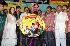 Malligadu Marriage Bureau Audio Release