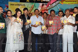 Malligadu Marriage Bureau Audio Release