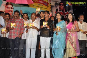 Malligadu Marriage Bureau Audio Release