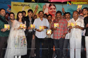 Malligadu Marriage Bureau Audio Release