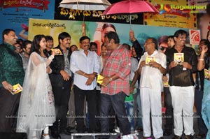 Malligadu Marriage Bureau Audio Release