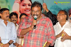 Malligadu Marriage Bureau Audio Release