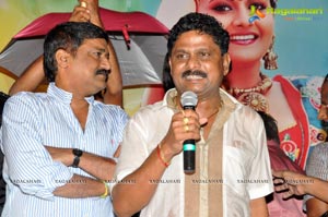 Malligadu Marriage Bureau Audio Release