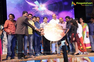 Manushulatho Jagratha Audio Release