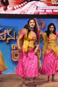 Manushulatho Jagratha Audio Release