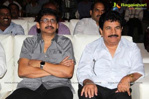 Manushulatho Jagratha Audio Release