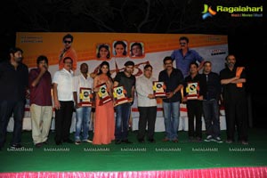 Masala Platinum Disc Function