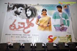 Raja's Tummeda Audio Release