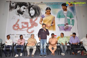 Raja's Tummeda Audio Release