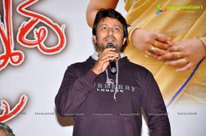 Raja's Tummeda Audio Release