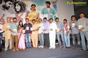 Raja's Tummeda Audio Release