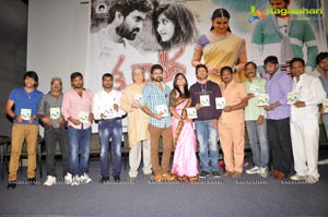 Raja's Tummeda Audio Release