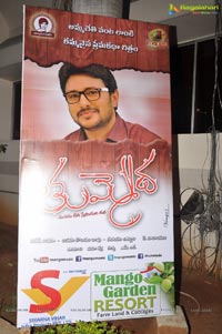 Raja's Tummeda Audio Release