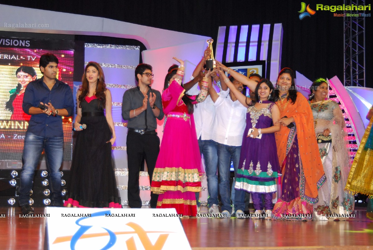 Big Telugu Entertainment Awards 2013