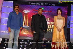 Big Telugu Entertainment Awards 2013