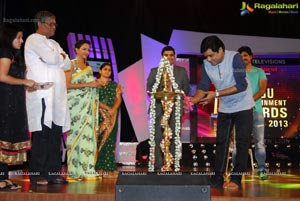 Big Telugu Entertainment Awards 2013