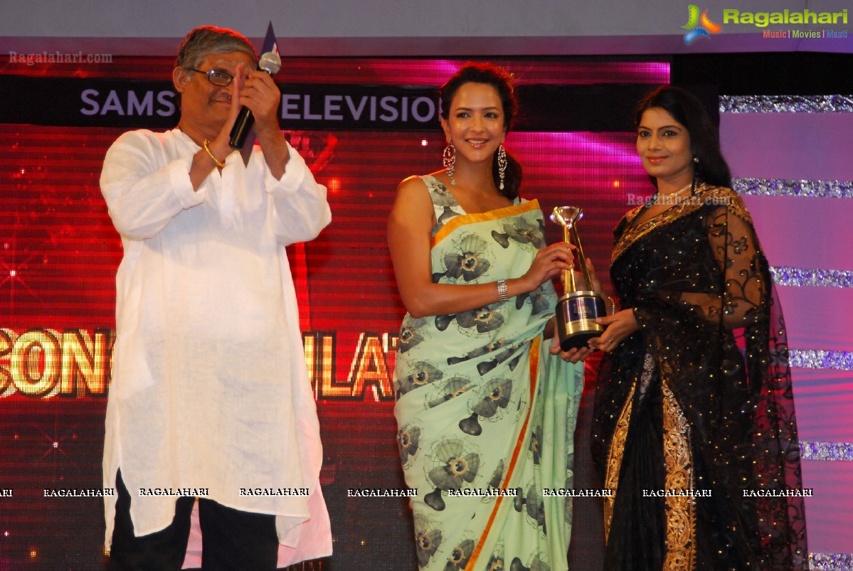 Big Telugu Entertainment Awards 2013