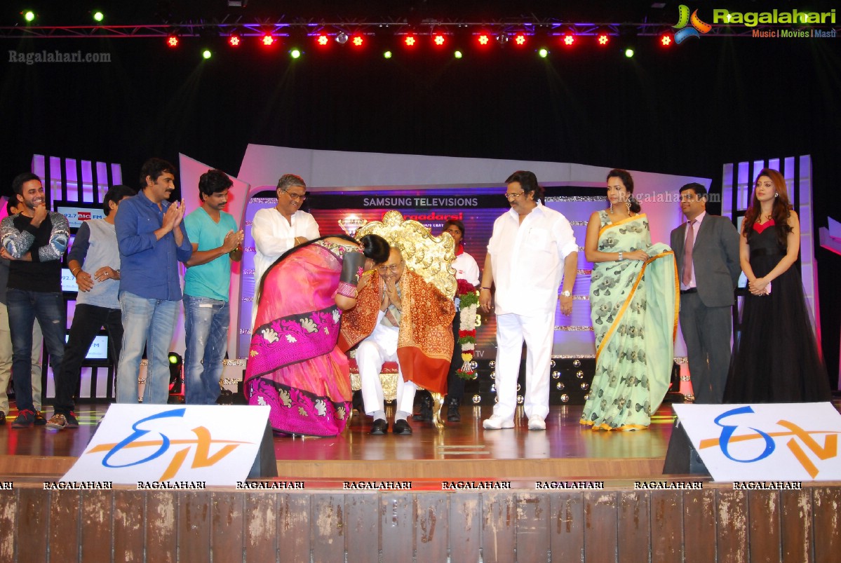 Big Telugu Entertainment Awards 2013