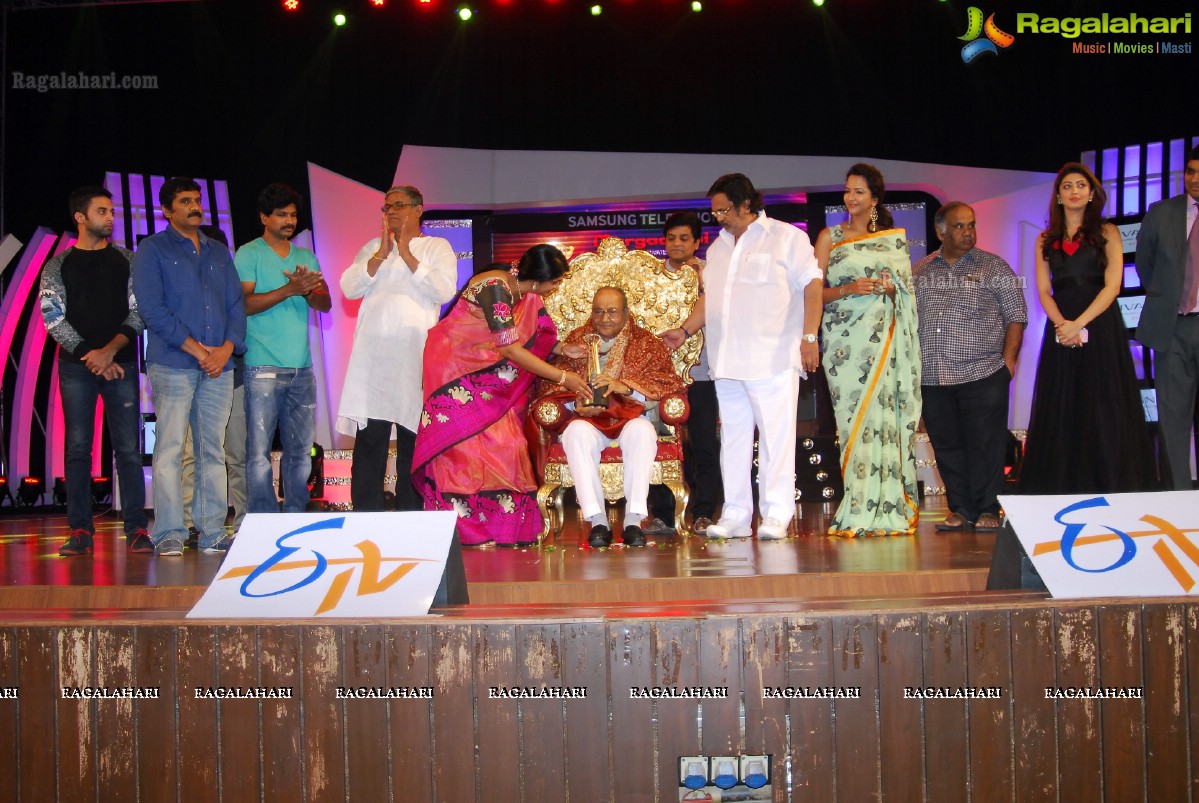 Big Telugu Entertainment Awards 2013